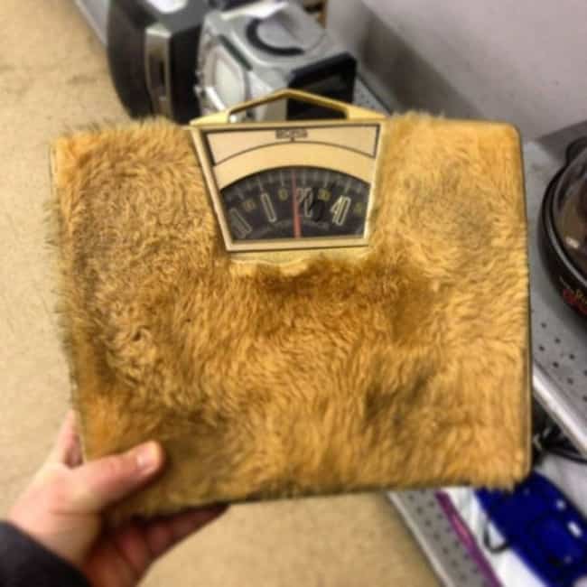 Weird Thrift Store Finds furry scales