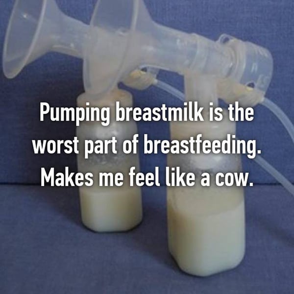 Worst Things About Breastfeeding cow