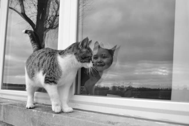 cat-girl-window