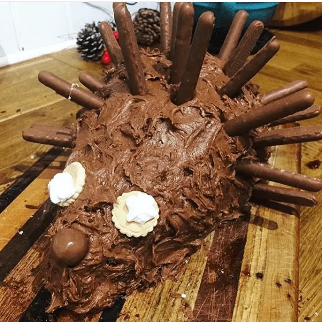 hedgehog_cake_fail
