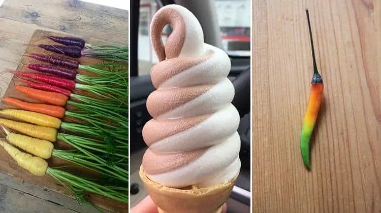 oddly-satisfying-food-photos