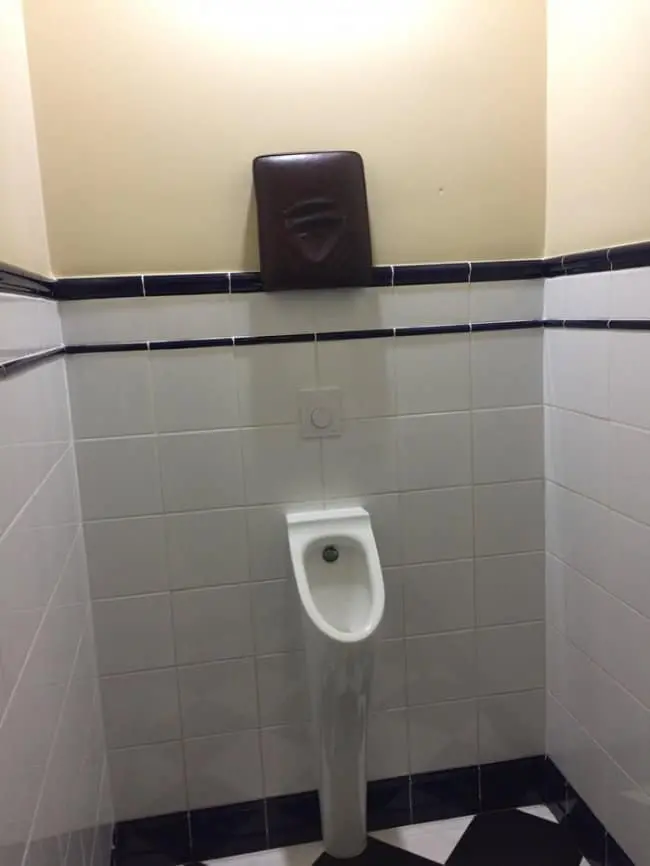 unusual-toilet-design
