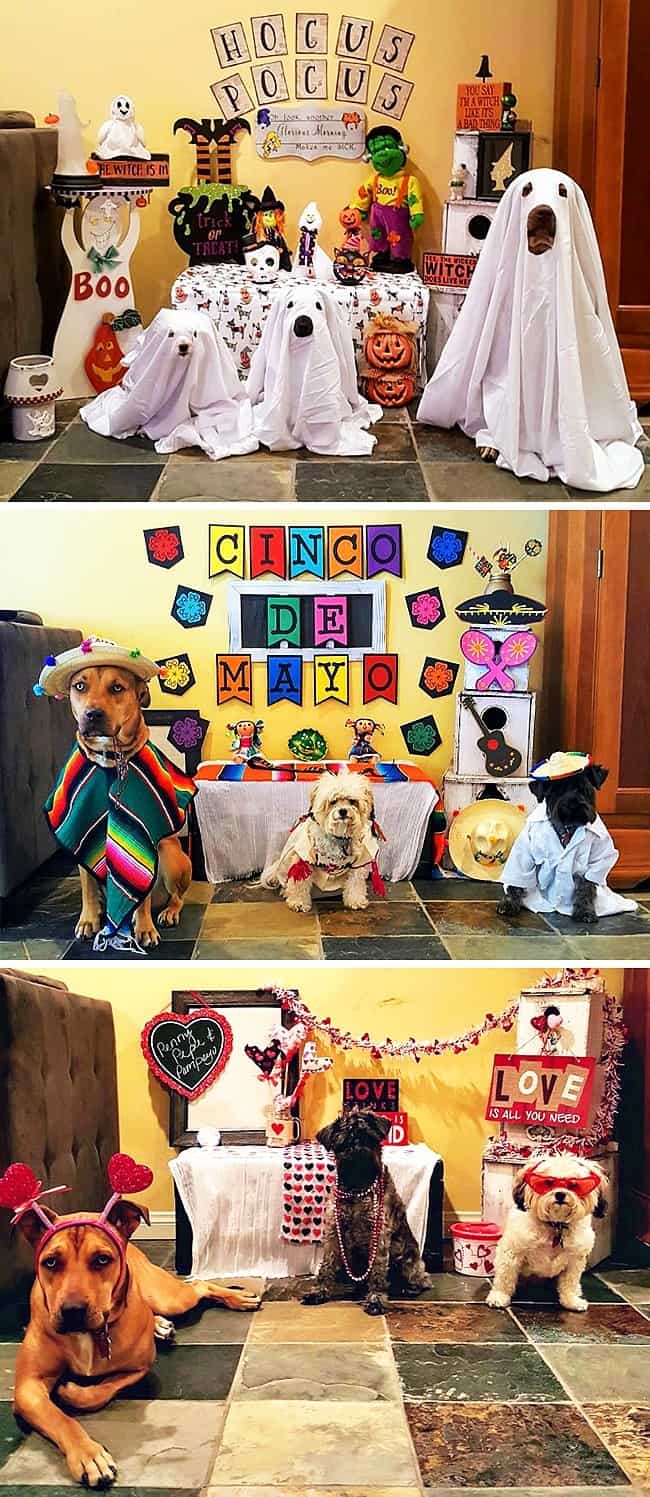 mexican-dogs