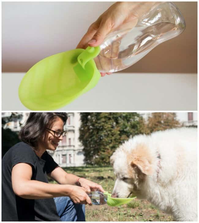 Portable-water-dispenser