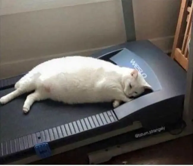 exercising-is-tiring