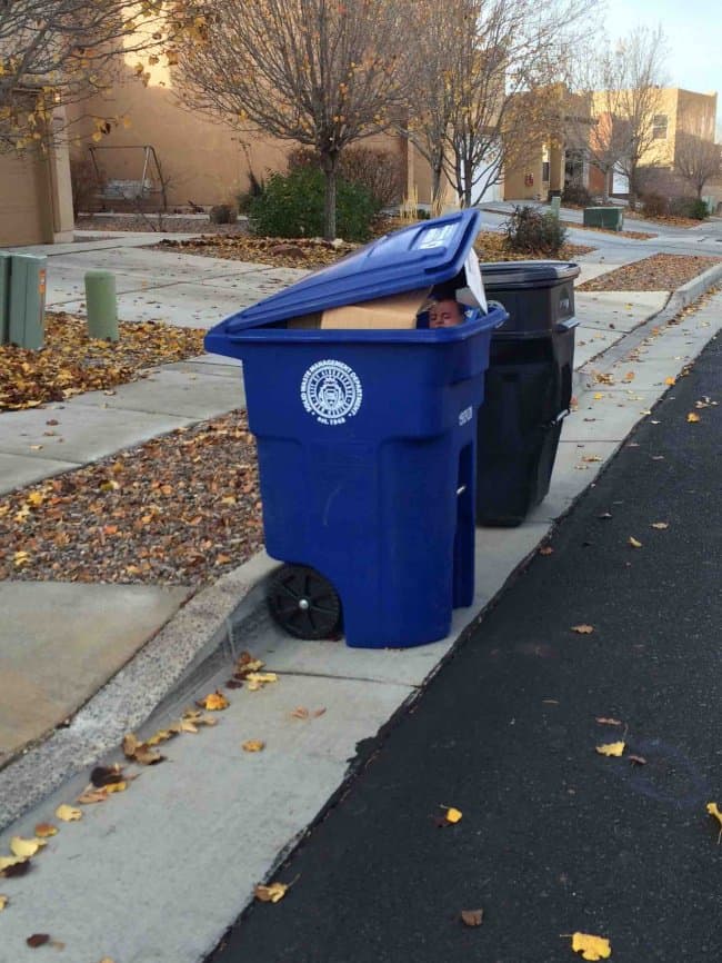 mysterious-baby-on-trash-bin