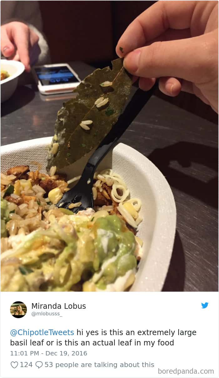 actual-leaf-on-chipotle