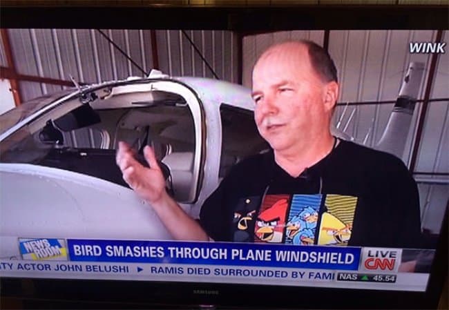 angry-birds-shirt-matches-news-caption-perfect-t-shirt-perfect-time