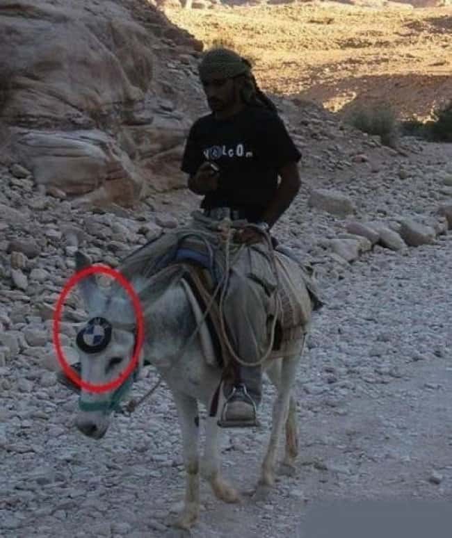 bmw-logo-donkey-blatant-lies-fool-others