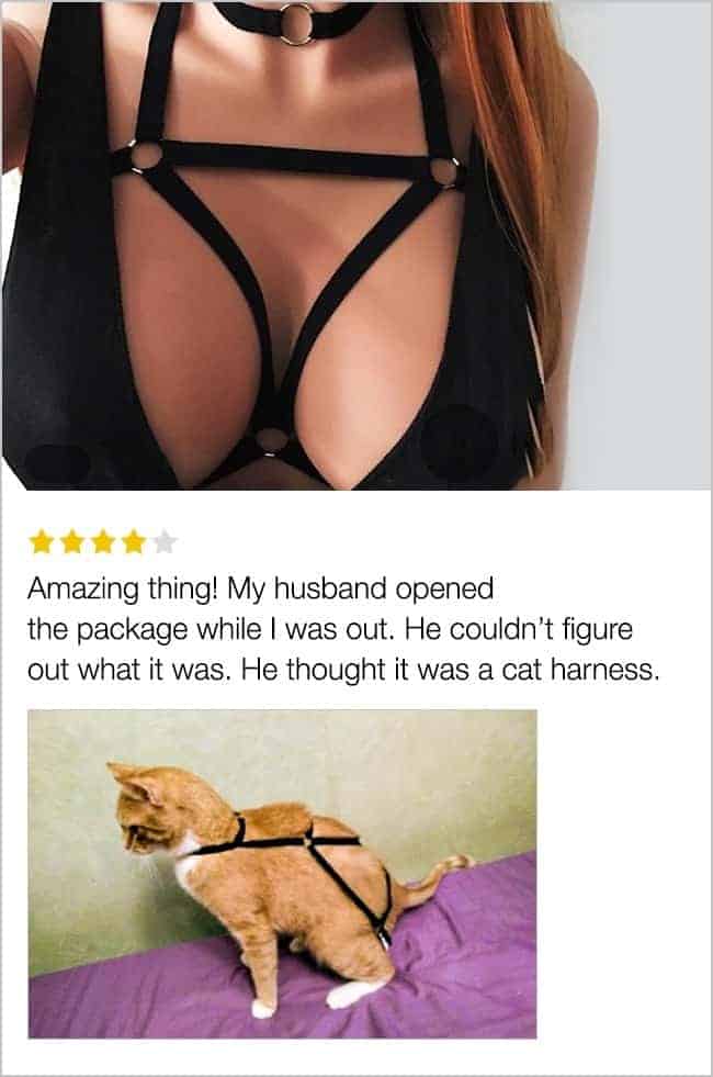 bra_mistaken_for_a_cat_harness