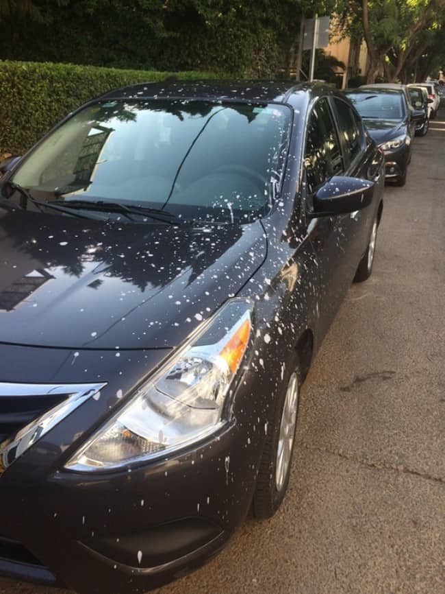 brand-new-car-sprayed-with-paint-from-garbage-truck-unlucky-people