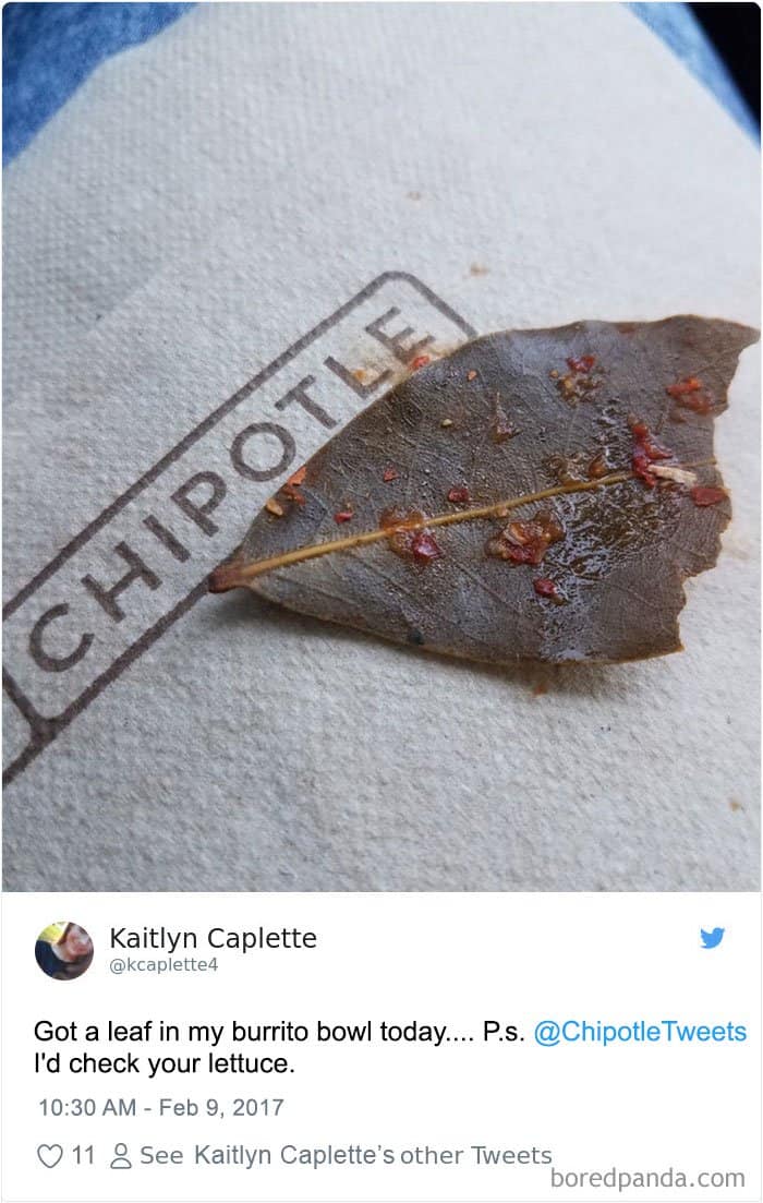 chipotle-leaves-leaves