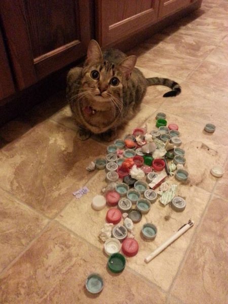 30 Times People Found Random And Interesting Things