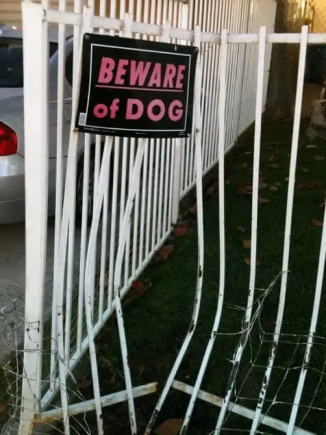 fence_broken_beware_of_the_dog