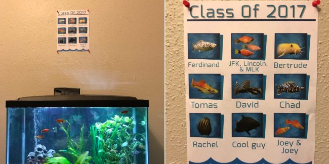 fish-yearbook-creativity-in-hilarious-ways