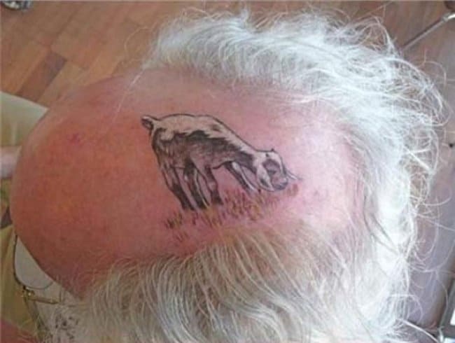 goat_tattoo_eating_away_hair_self_irony