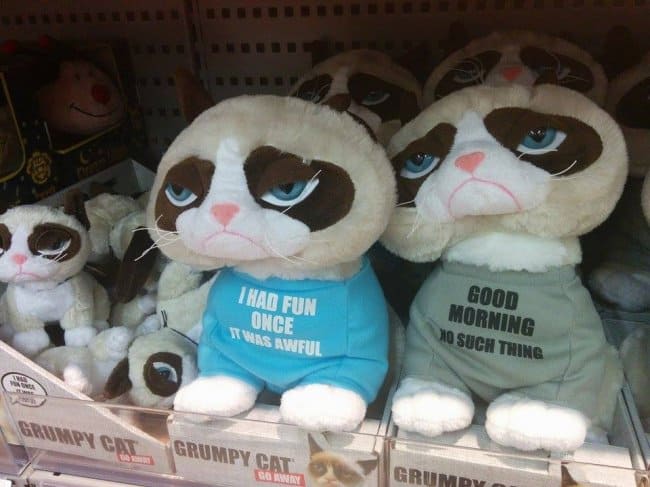 grumpy_cat_toys