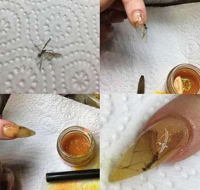 mosquito-on-nail-polish-weird-ideas