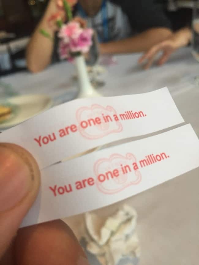 one_in_a_million_fortune_cookies_self_irony