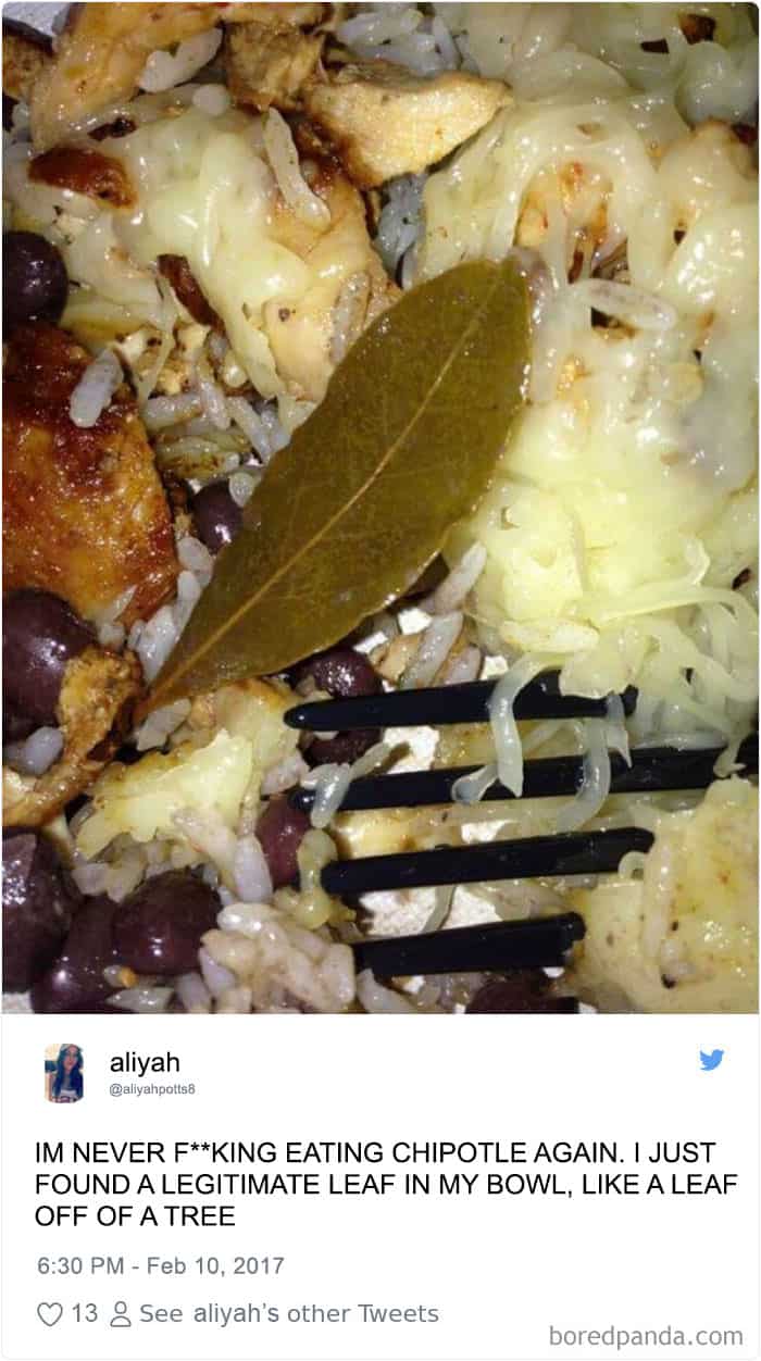 people-surprised-find-leaves-food-chipotletweets