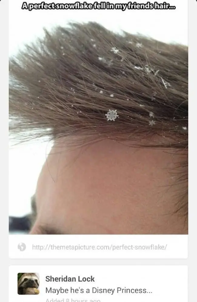 perfect-snowflake