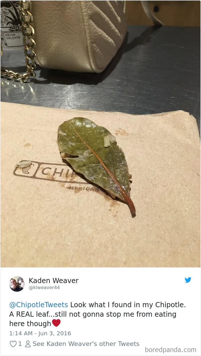 real-leaf-in-chipotle