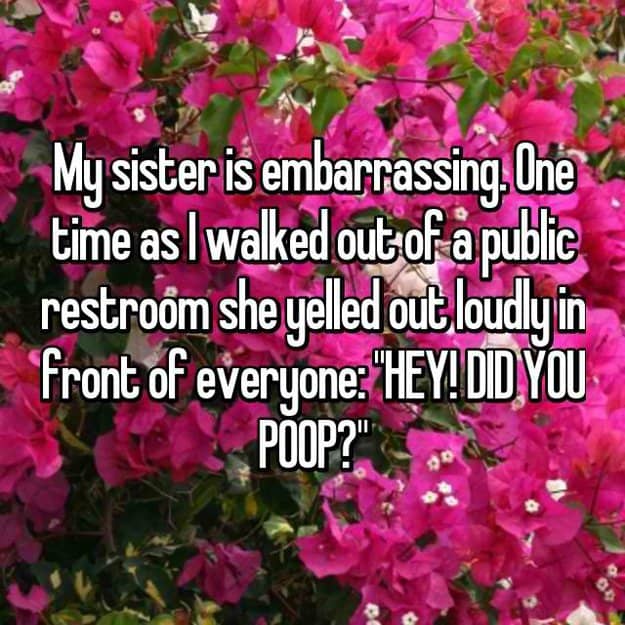 sister_yelled_did_you_poop_public_restroom_encounters