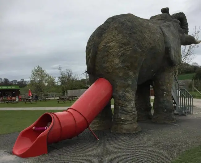 slide-down-the-elephant-anus-funniest-design-fails