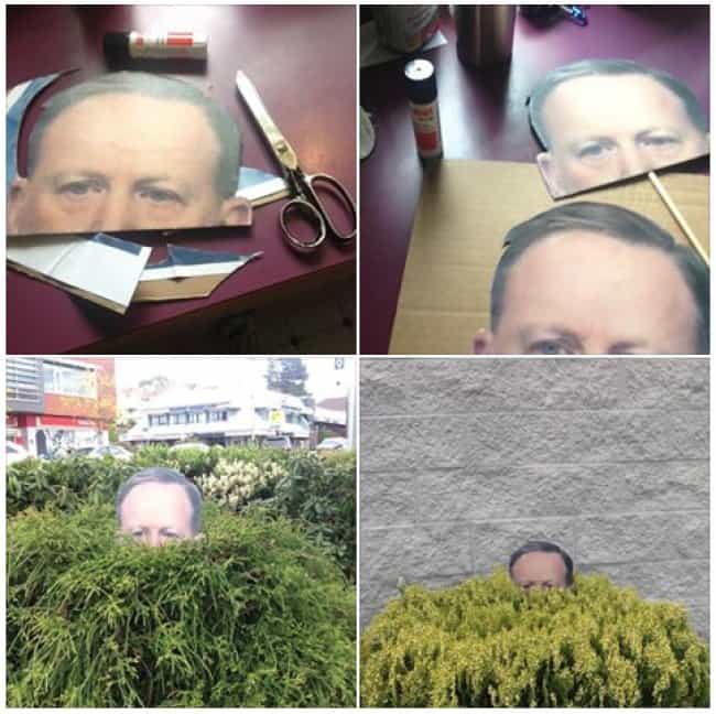 spy-hiding-in-the-bush-weird-ideas