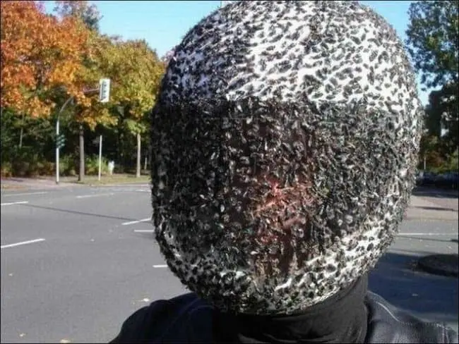 swarm_of_bees_on_helmet