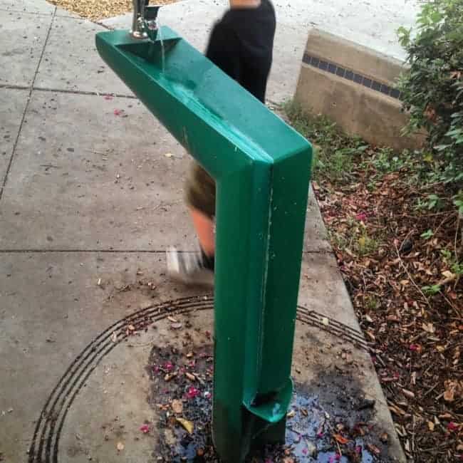 unique-drinking-fountain