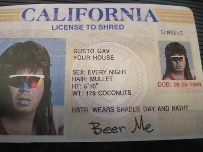 license-to-shred