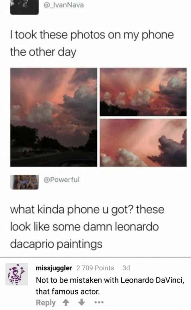 leonardo-confused