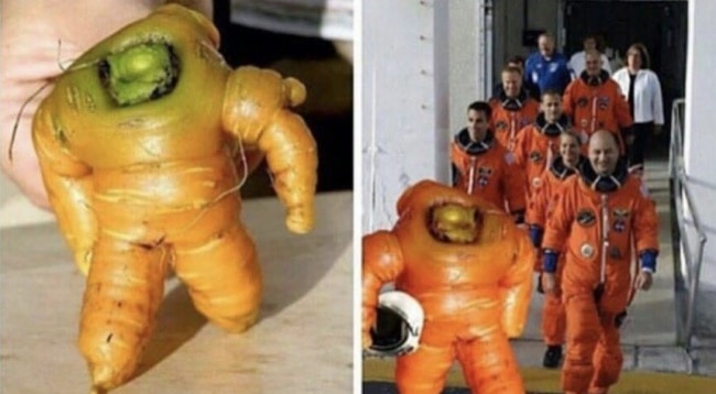 astronaut-carrot-how-whimsical-people-see-things