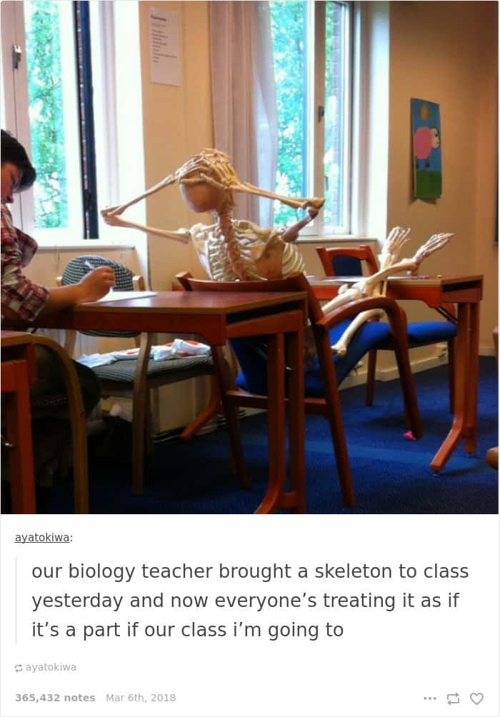 biology-teacher-brough-a-skeleton-in-class-teachers-trolling-students