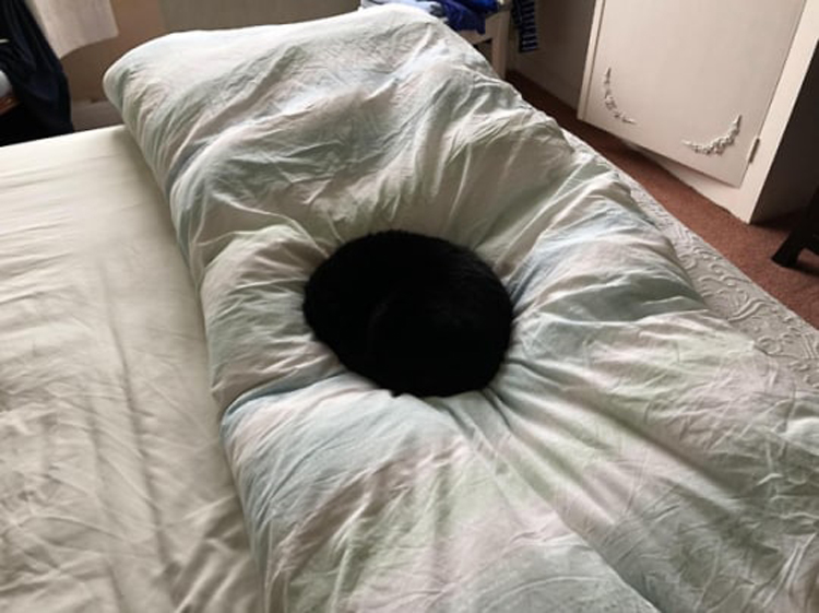 black-hole-in-bed-completely-obvious-things
