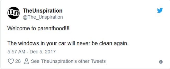 car-windows-will-never-be-clean-funny-parenting-tweets