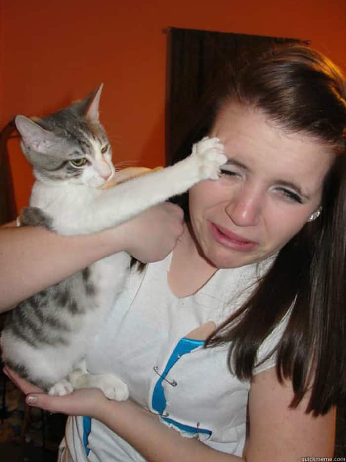 cat-scratching-girl-face-cringeworthy-photos