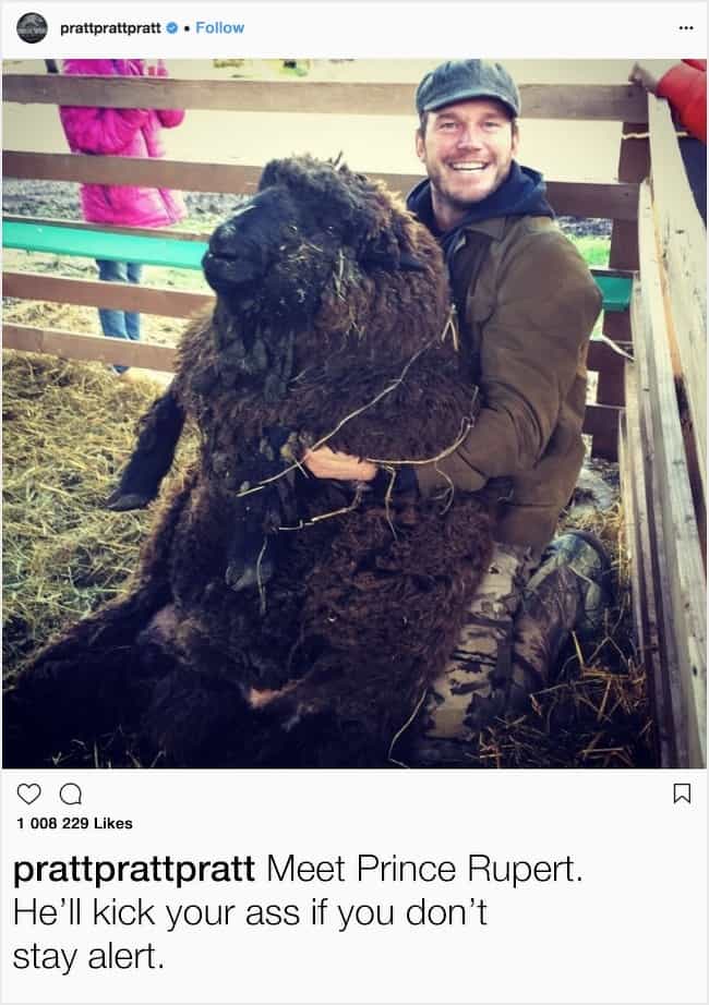 chris-pratt-with-a-black-sheep-hilarious-celebrity-instagram
