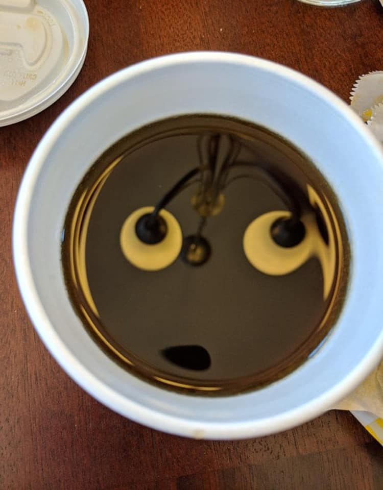 coffee-surprised-expression-completely-obvious-things