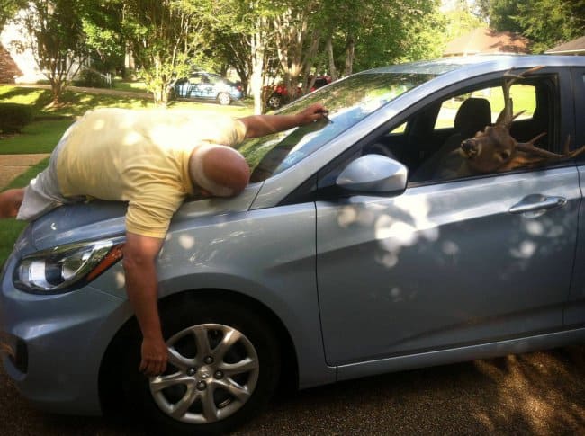 deer-on-a-car-hits-dad-humor-makes-happy-family