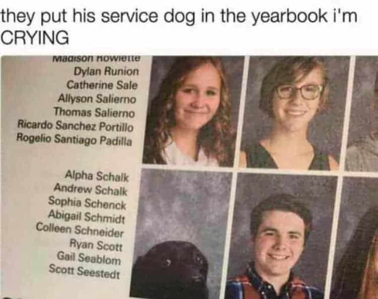 dog-yearbook-photo-remarkable-photos