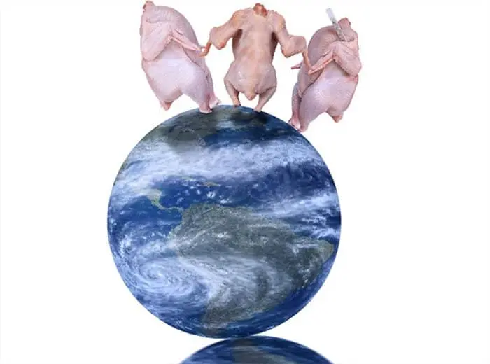 dressed-chicken-dancing-on-top-of-the-world-weird-stock-photos