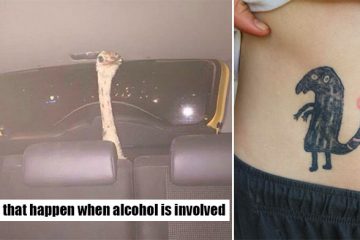 crazy things people do when drunk