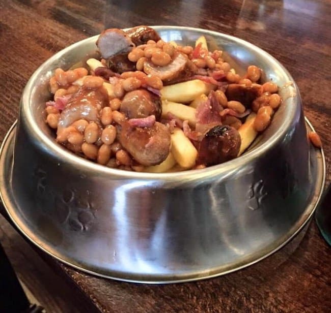 food-served-in-a-dog-bowl-bizarre-presentations