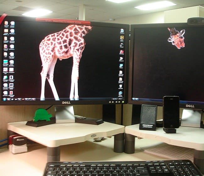 giraffe-split-dual-screen-clever-desktop-wallpapers