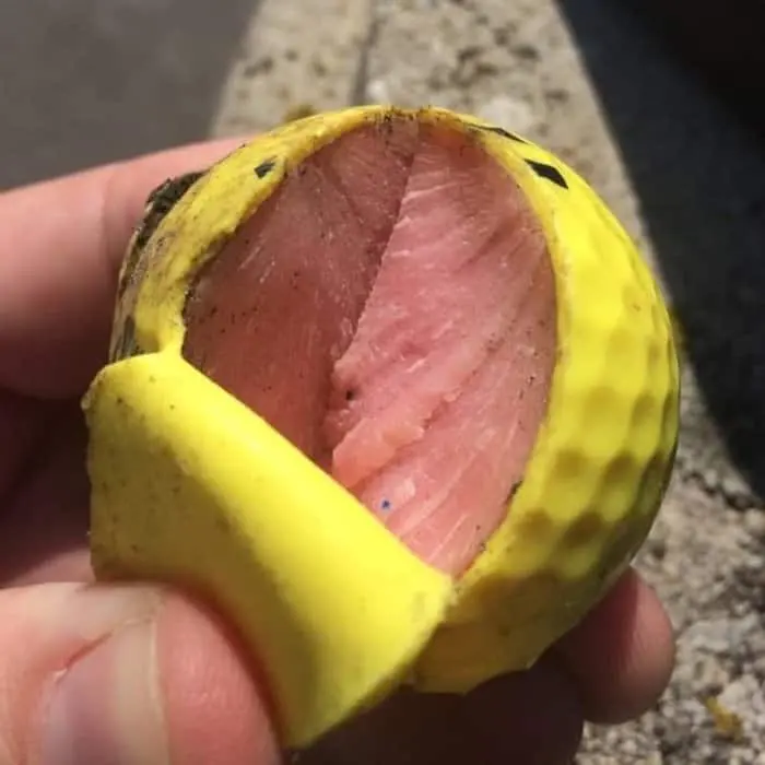 golf-ball-dissected-tasty-looking-things