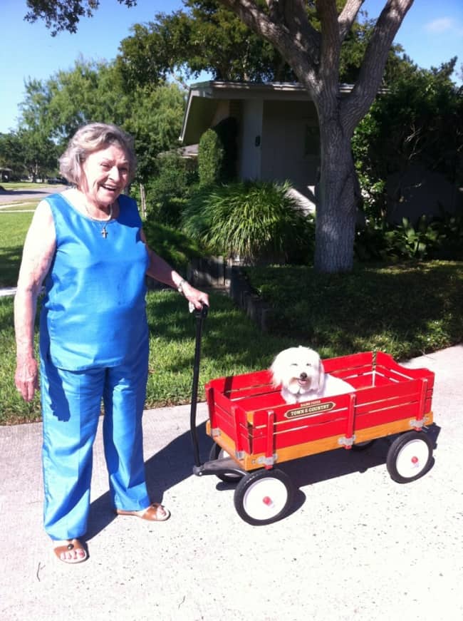 grandma-walking-the-dog-humor-makes-happy-family