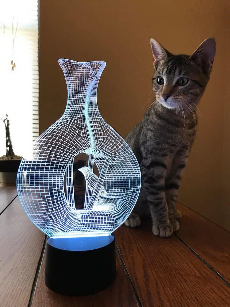 holographic-lamp