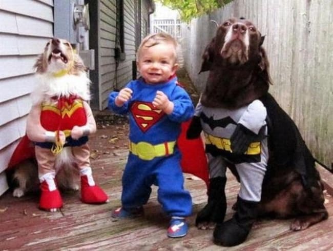 justice-league-baby-and-dogs-adorable-photos